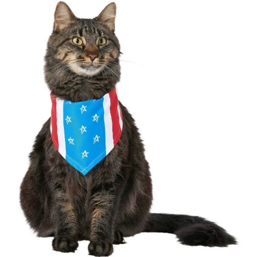 Frisco Stars & Stripes Dog & Cat Bandana -Cat Supply Store 249329 PT3. AC SS1800 V1632422490