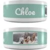 Frisco Playful Kitty Ceramic Personalized Cat Bowl, 1-cup, 8oz -Cat Supply Store 250841 MAIN. AC SS1800 V1602625886