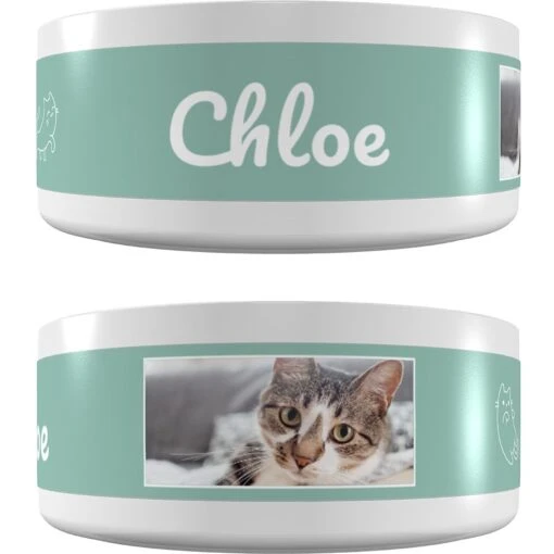 Frisco Playful Kitty Ceramic Personalized Cat Bowl, 1-cup, 8oz -Cat Supply Store 250841 MAIN. AC SS1800 V1602625886