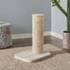 Two By Two City Cat Deluxe European 24-in Faux-Fur Cat Scratching Post -Cat Supply Store 251759 MAIN. AC SS1800 V1600296376