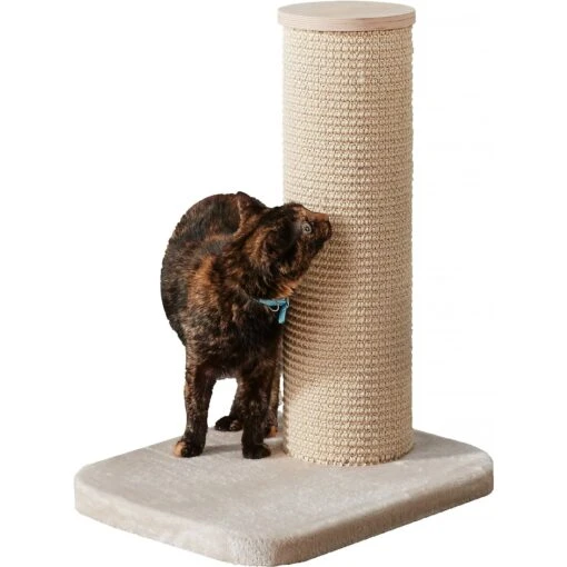 Two By Two City Cat Deluxe European 24-in Faux-Fur Cat Scratching Post -Cat Supply Store 251759 PT2. AC SS1800 V1600294884