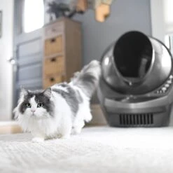 Litter-Robot 3 WiFi Enabled Automatic Self-Cleaning Cat Litter Box -Cat Supply Store 251802 PT8. AC SS1800 V1617988915