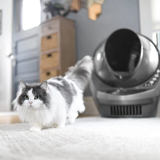 Litter-Robot 3 WiFi Enabled Automatic Self-Cleaning Cat Litter Box -Cat Supply Store 251802 PT8. AC SS1800 V1617988915