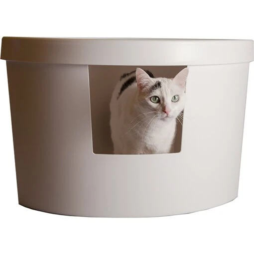 Kitangle Corner Kitty Cat Litter Box, Large -Cat Supply Store 252798 PT2. AC SS1800 V1600904210