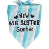 Frisco Big Sister Personalized Dog & Cat Bandana -Cat Supply Store 254235 MAIN. AC SS1800 V1619559736