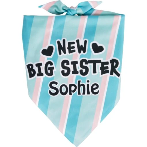 Frisco Big Sister Personalized Dog & Cat Bandana -Cat Supply Store 254235 MAIN. AC SS1800 V1619559736