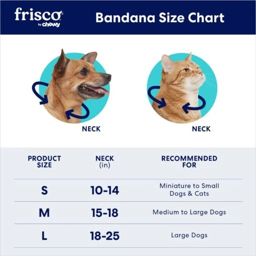 Frisco Big Sister Personalized Dog & Cat Bandana -Cat Supply Store 254235 PT1. AC SS1800 V1696269070