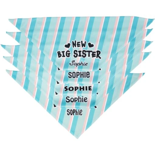 Frisco Big Sister Personalized Dog & Cat Bandana -Cat Supply Store 254235 PT4. AC SS1800 V1619558530