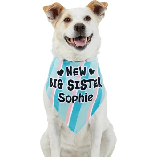 Frisco Big Sister Personalized Dog & Cat Bandana -Cat Supply Store 254235 PT6. AC SS1800 V1619558258