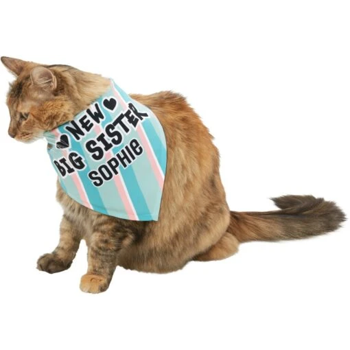 Frisco Big Sister Personalized Dog & Cat Bandana -Cat Supply Store 254235 PT7. AC SS1800 V1619560404