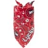 Frisco Paisley Printed Personalized Dog & Cat Bandana -Cat Supply Store 254247 MAIN. AC SS1800 V1701981426