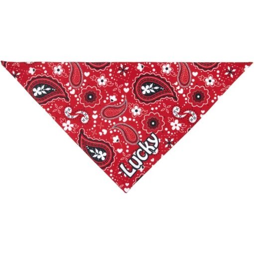 Frisco Paisley Printed Personalized Dog & Cat Bandana -Cat Supply Store 254247 PT3. AC SS1800 V1618510643