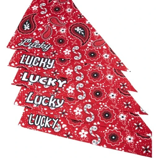 Frisco Paisley Printed Personalized Dog & Cat Bandana -Cat Supply Store 254247 PT4. AC SS1800 V1618511570