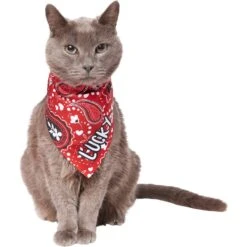 Frisco Paisley Printed Personalized Dog & Cat Bandana -Cat Supply Store 254247 PT7. AC SS1800 V1618508211