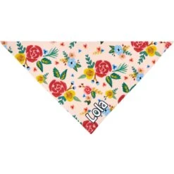 Frisco Floral Personalized Dog & Cat Bandana -Cat Supply Store 254255 PT3. AC SS1800 V1618511861