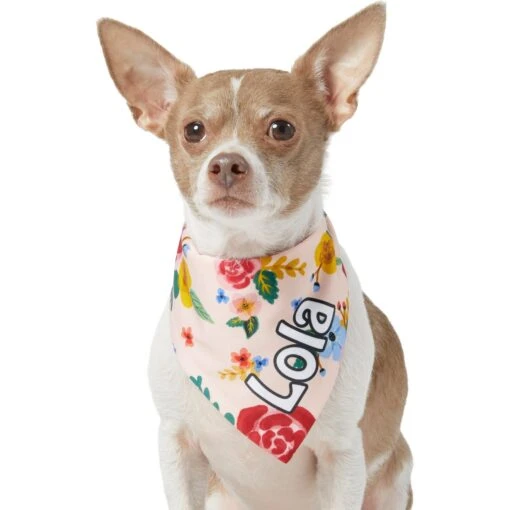 Frisco Floral Personalized Dog & Cat Bandana -Cat Supply Store 254255 PT6. AC SS1800 V1618507356