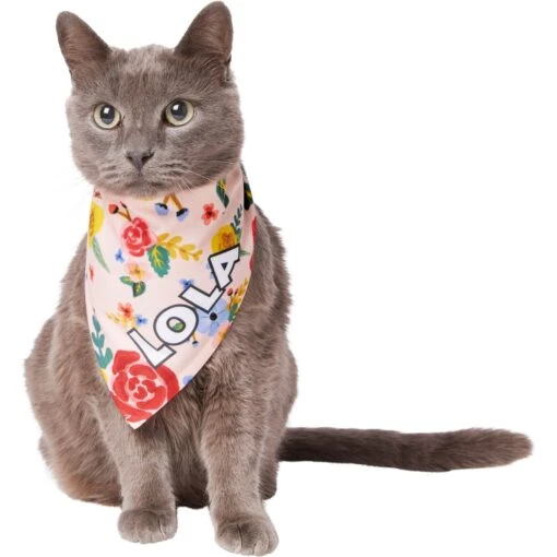 Frisco Floral Personalized Dog & Cat Bandana -Cat Supply Store 254255 PT7. AC SS1800 V1618507948