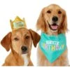 Frisco Happy Birthday Dog & Cat Crown & Frisco Dog & Cat Birthday Bandana -Cat Supply Store 255523 MAIN. AC SS1800 V1603716093