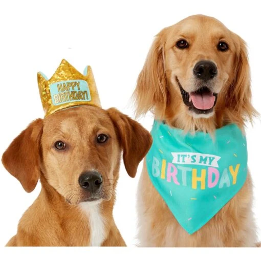 Frisco Happy Birthday Dog & Cat Crown & Frisco Dog & Cat Birthday Bandana -Cat Supply Store 255523 MAIN. AC SS1800 V1603716093