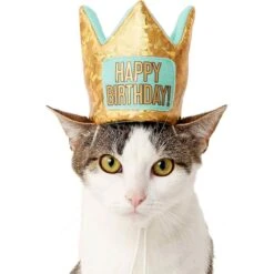 Frisco Happy Birthday Dog & Cat Crown & Frisco Dog & Cat Birthday Bandana -Cat Supply Store 255523 PT2. AC SS1800 V1603716120