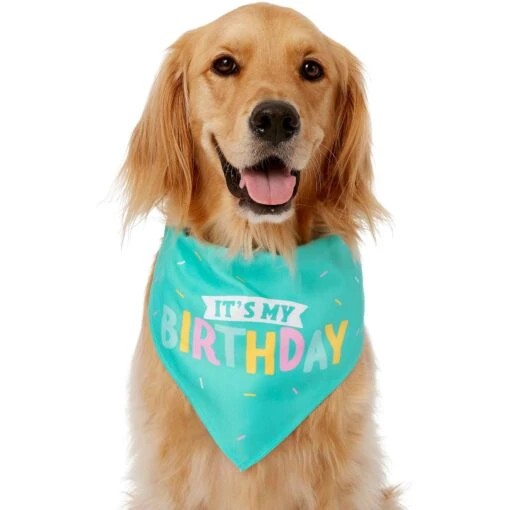 Frisco Happy Birthday Dog & Cat Crown & Frisco Dog & Cat Birthday Bandana -Cat Supply Store 255523 PT3. AC SS1800 V1603716114