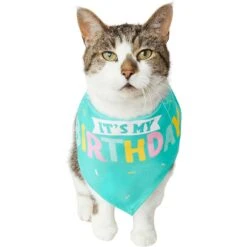 Frisco Happy Birthday Dog & Cat Crown & Frisco Dog & Cat Birthday Bandana -Cat Supply Store 255523 PT4. AC SS1800 V1603716120