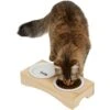 Frisco Double Elevated Cat Bowl With Wood Stand -Cat Supply Store 256082 MAIN. AC SS1800 V1616509034