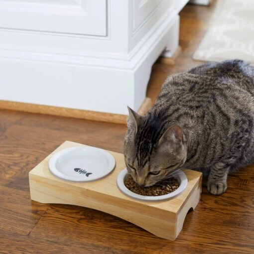 Frisco Double Elevated Cat Bowl With Wood Stand -Cat Supply Store 256082 PT2. AC SS1800 V1615312650