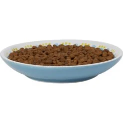 Frisco Kaleidoscope Pattern Non-skid Ceramic Cat Dish -Cat Supply Store 256092 PT3. AC SS1800 V1617042717