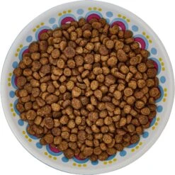 Frisco Kaleidoscope Pattern Non-skid Ceramic Cat Dish -Cat Supply Store 256092 PT5. AC SS1800 V1617042691