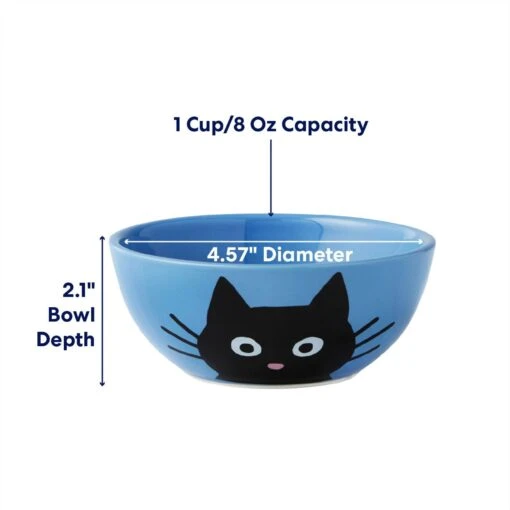 Frisco Cat Face Non-skid Ceramic Cat Bowl, Blue -Cat Supply Store 256103 PT1. AC SS1800 V1685731990