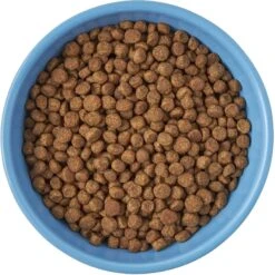 Frisco Cat Face Non-skid Ceramic Cat Bowl, Blue -Cat Supply Store 256103 PT5. AC SS1800 V1615312900