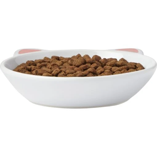 Frisco Cat Face Non-skid Ceramic Cat Dish -Cat Supply Store 256105 PT3. AC SS1800 V1615321286