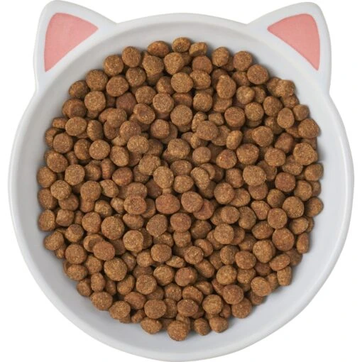 Frisco Cat Face Non-skid Ceramic Cat Dish -Cat Supply Store 256105 PT5. AC SS1800 V1615321295