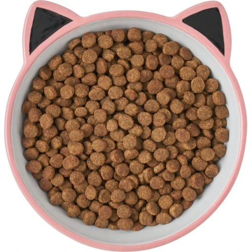 Frisco Cat Face Non-skid Ceramic Cat Bowl, Pink -Cat Supply Store 256107 PT5. AC SS1800 V1616522494