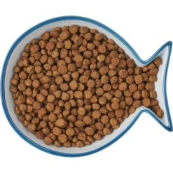 Frisco Fish Shaped Non-skid Ceramic Cat Dish -Cat Supply Store 256109 PT6. AC SS1800 V1617196895