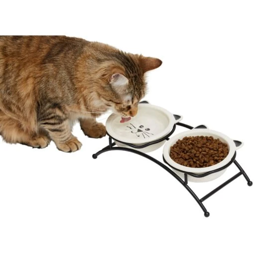 Frisco Cat Face Non-skid Elevated Double Ceramic Cat Bowl -Cat Supply Store 256113 MAIN. AC SS1800 V1616522219