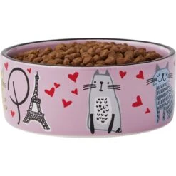 Frisco Paris Non-skid Ceramic Cat Dish -Cat Supply Store 256117 PT3. AC SS1800 V1615311168