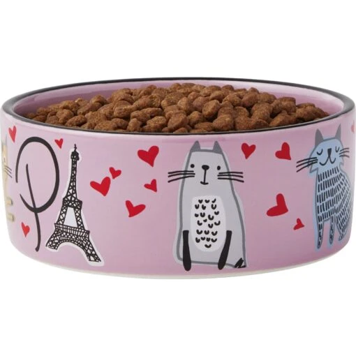 Frisco Paris Non-skid Ceramic Cat Dish -Cat Supply Store 256117 PT3. AC SS1800 V1615311168