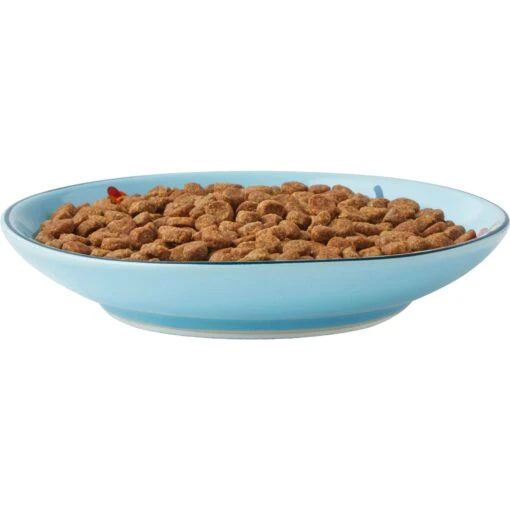 Frisco New York Non-skid Ceramic Cat Dish -Cat Supply Store 256119 PT5. AC SS1800 V1618494742