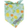 Frisco Citrus Personalized Dog & Cat Bandana -Cat Supply Store 258758 MAIN. AC SS1800 V1619558872