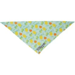 Frisco Citrus Personalized Dog & Cat Bandana -Cat Supply Store 258758 PT3. AC SS1800 V1619559797