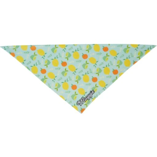 Frisco Citrus Personalized Dog & Cat Bandana -Cat Supply Store 258758 PT3. AC SS1800 V1619559797