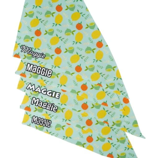 Frisco Citrus Personalized Dog & Cat Bandana -Cat Supply Store 258758 PT4. AC SS1800 V1619558899