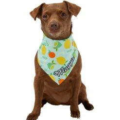 Frisco Citrus Personalized Dog & Cat Bandana -Cat Supply Store 258758 PT6. AC SS1800 V1619560354