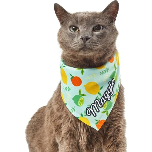 Frisco Citrus Personalized Dog & Cat Bandana -Cat Supply Store 258758 PT7. AC SS1800 V1619560408