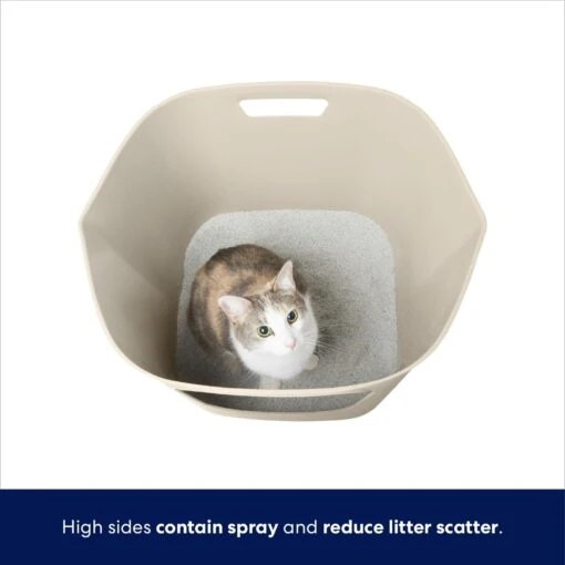 Frisco Leaf High-Sided Cat Litter Box, Large -Cat Supply Store 258782 PT2. AC SS1800 V1675279643