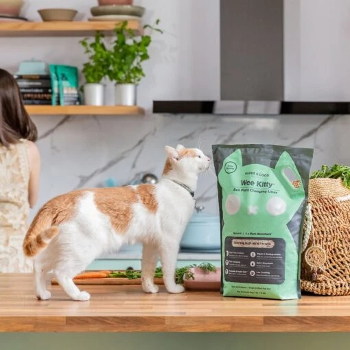 Rufus & Coco Wee Kitty Eco Plant Unscented Clumping Tofu Cat Litter -Cat Supply Store 261670 PT1. AC SS1800 V1605644809