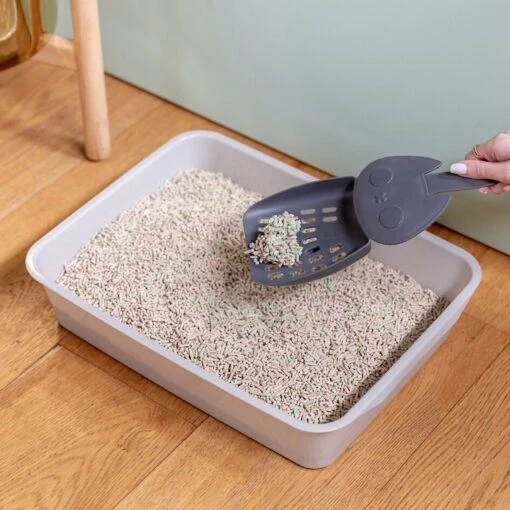 Rufus & Coco Wee Kitty Eco Plant Unscented Clumping Tofu Cat Litter -Cat Supply Store 261670 PT5. AC SS1800 V1605666918