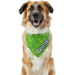 Frisco Golf Personalized Dog & Cat Bandana -Cat Supply Store 263017 PT6. AC SS1800 V1619557636